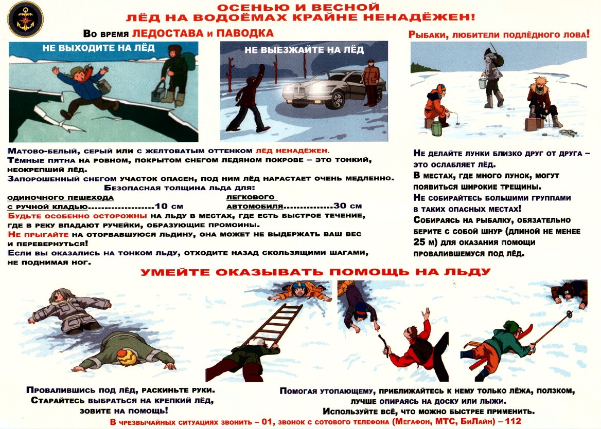 Изображения.
